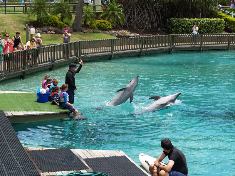 delfiny-w-niewoli-delfinarium-show-dzieci-odwaz-sie-wiedziec-fair-travel-event